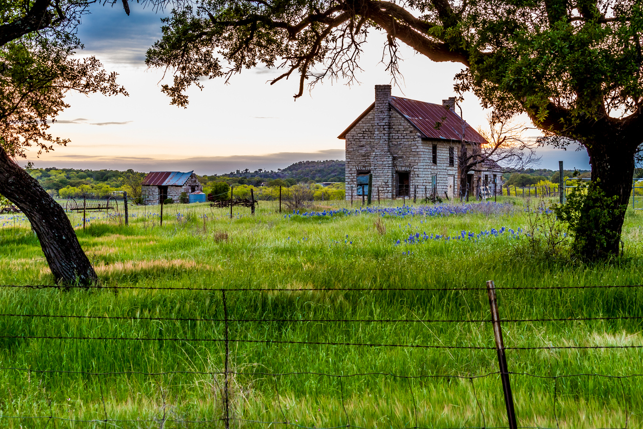 abandonded old rock homestead in a beautiful field loaded with the famous Texas bluebonnet