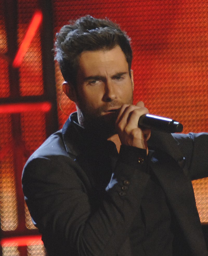 Why Did Adam Leave The Voice? image 0