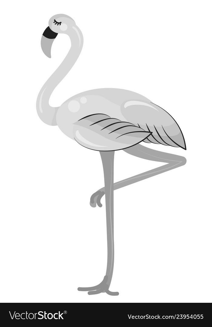 Why Do Flamingos Stand on One Leg? image 2