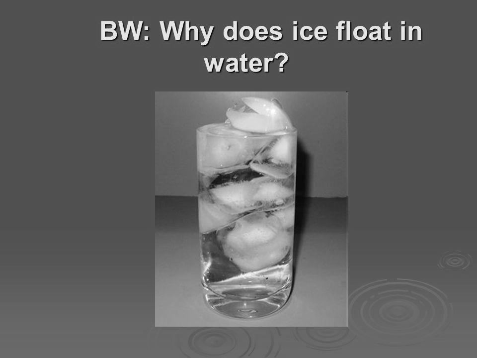 Why Does Ice Float Instead of Sink? photo 2